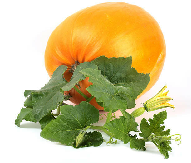 Pumpkin Long Vegetable Seed Balls.