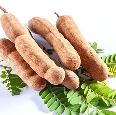 Grafted Sweet Tamarind Plant.