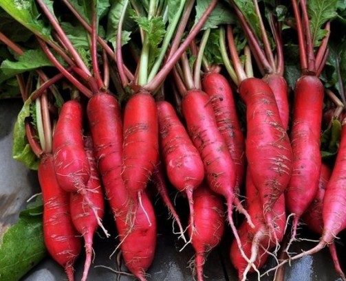 Red Radish Vegetable Seed Balls - Just Throw & Grow